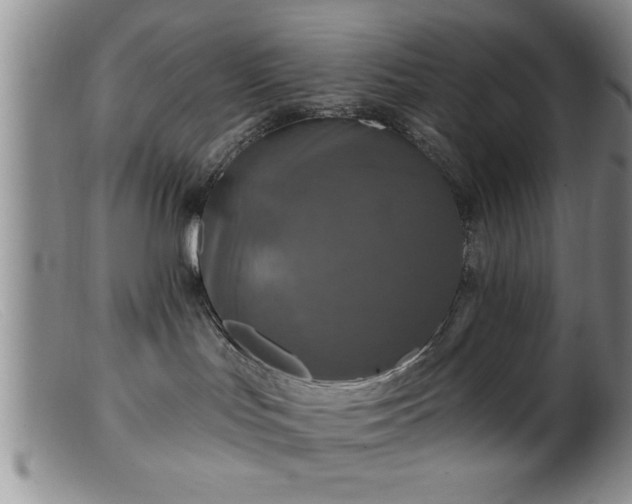 X0000099450047200805161033