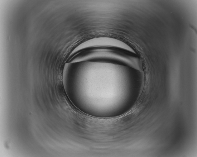 X0000099450048200805161033