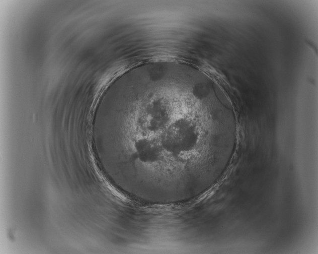 X0000099450049200805161032