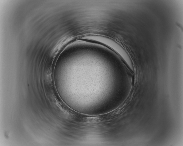 X0000099450050200805161032