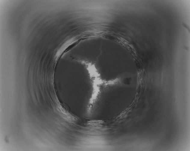 X0000099450051200805161032