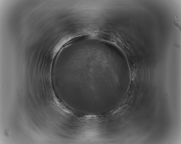 X0000099450052200805161032