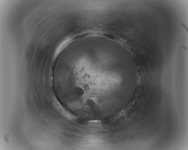 X0000099450053200805161032