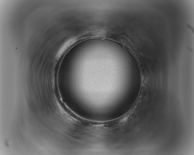 X0000099450054200805161032