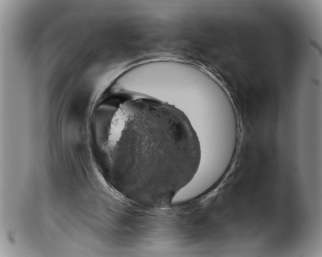 X0000099450055200805161032