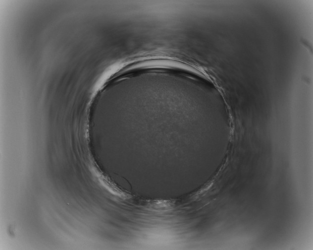 X0000099450056200805161032