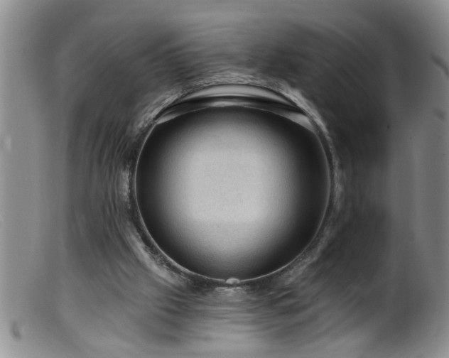 X0000099450057200805161032