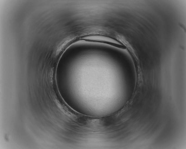 X0000099450058200805161032