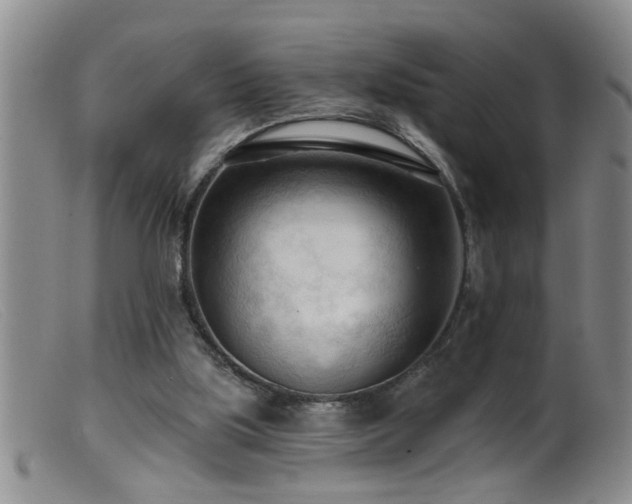 X0000099450059200805161032