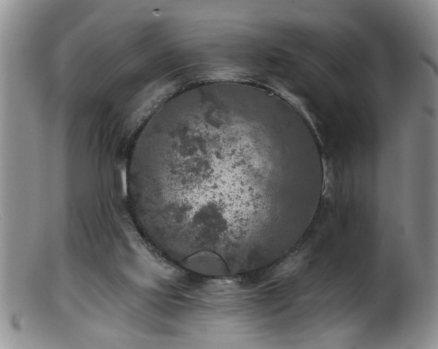 X0000099450061200805161032