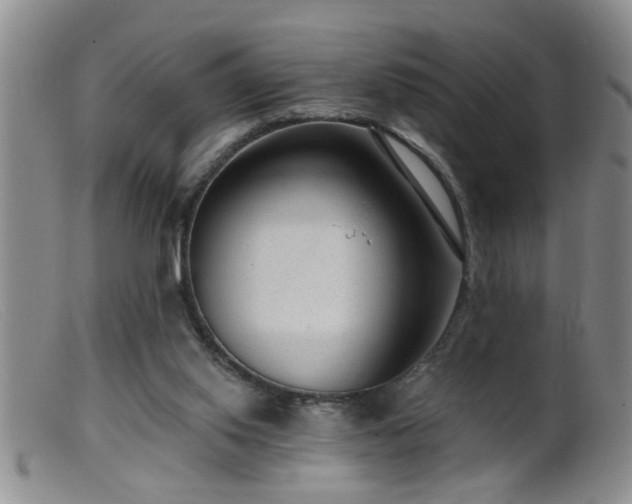 X0000099450062200805161032