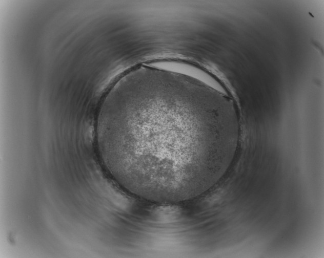 X0000099450063200805161032