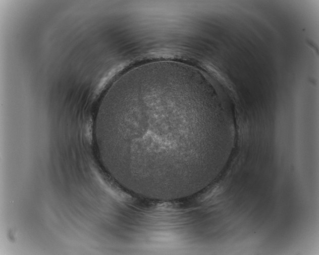 X0000099450064200805161032