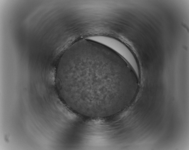 X0000099450065200805161032