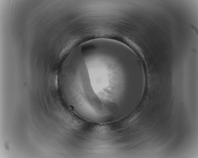 X0000099450067200805161032