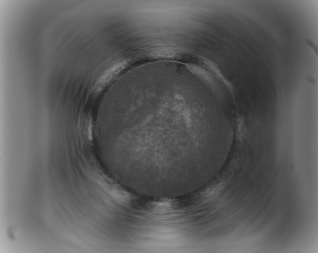 X0000099450068200805161032