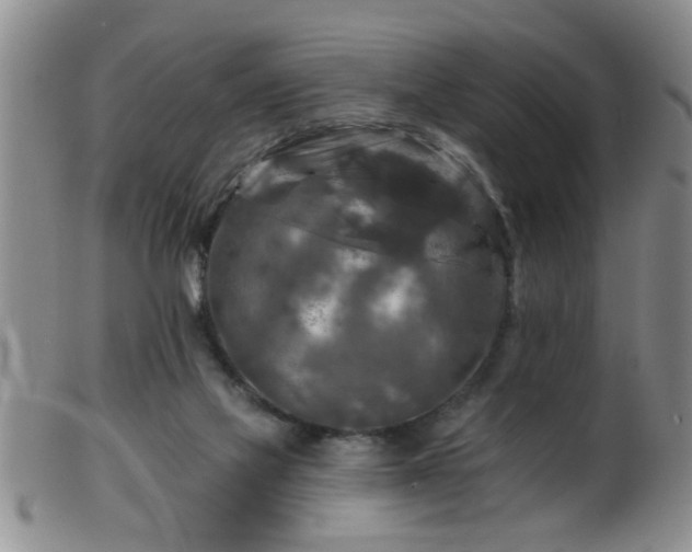 X0000099450069200805161032