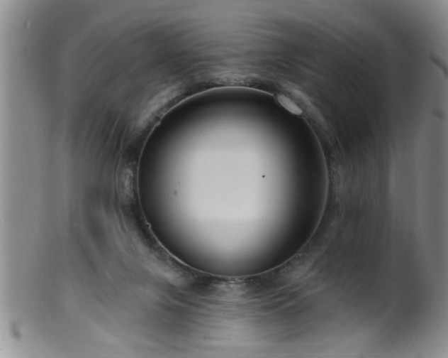 X0000099450071200805161032