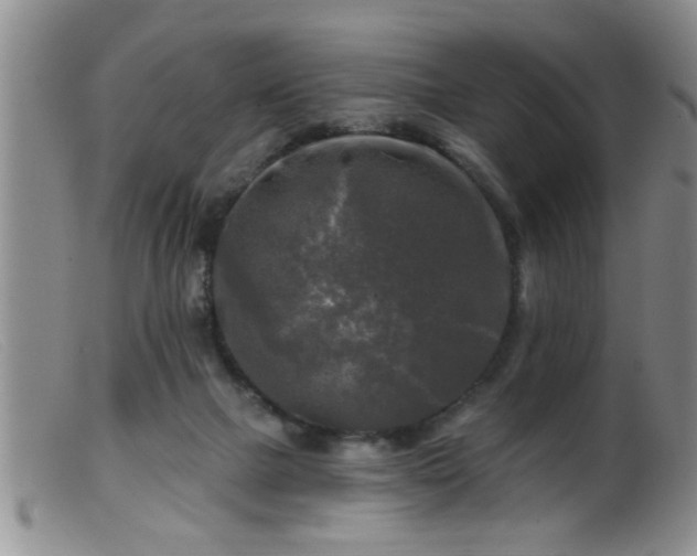 X0000099450073200805161032