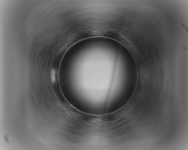 X0000099450075200805161032