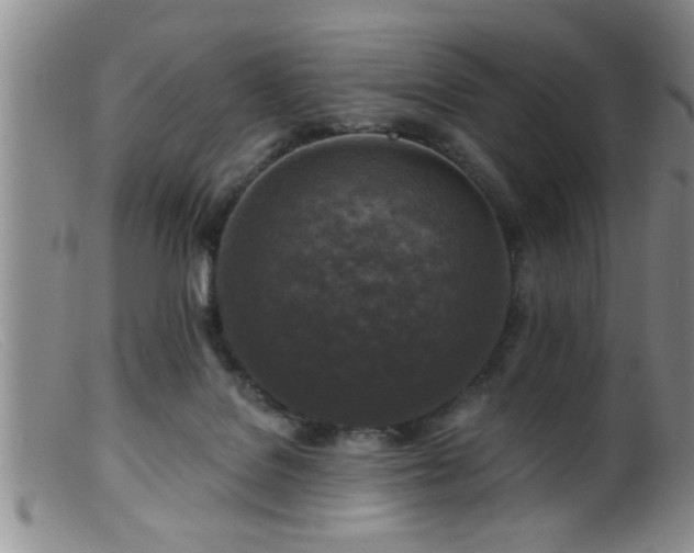 X0000099450076200805161032