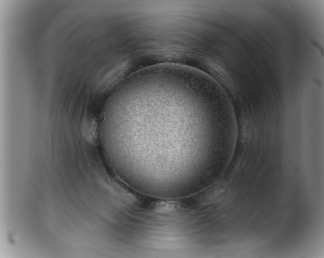 X0000099450077200805161032