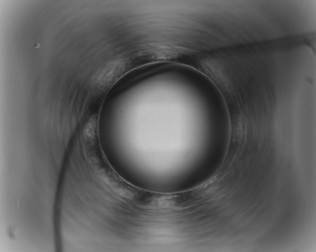 X0000099450078200805161032