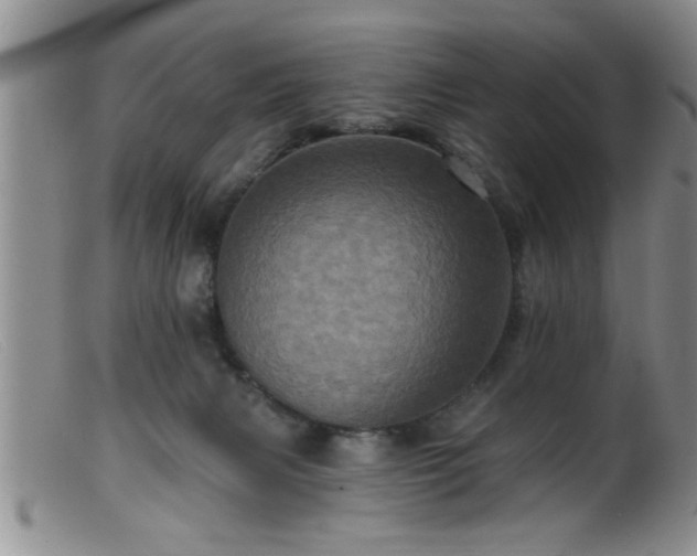 X0000099450079200805161032