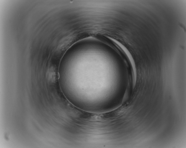 X0000099450080200805161032