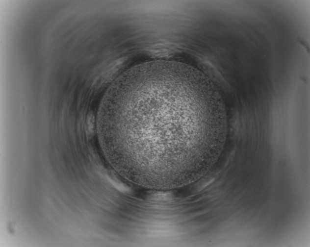 X0000099450081200805161032