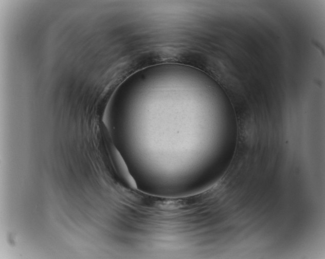 X0000099450082200805161032