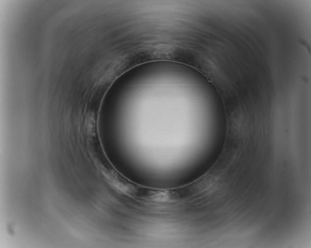 X0000099450083200805161033