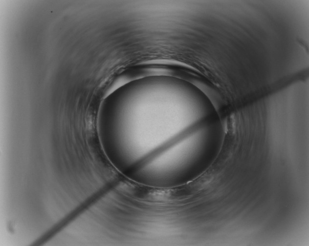 X0000099450084200805161033