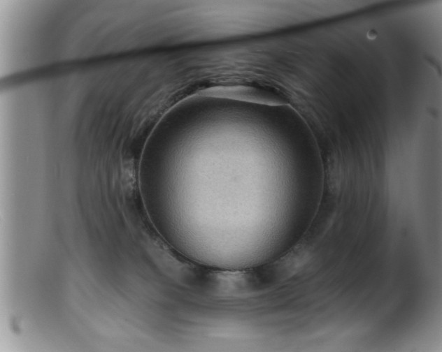 X0000099450085200805161033