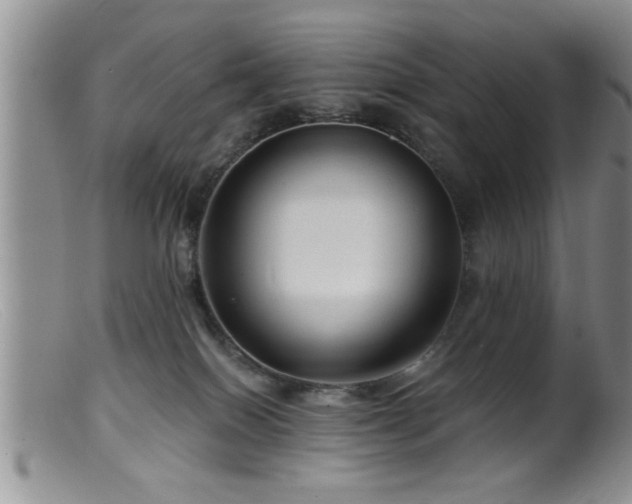 X0000099450086200805161033