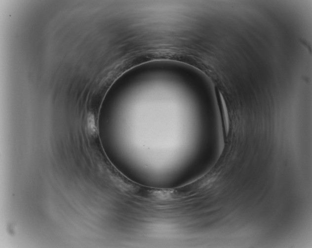 X0000099450089200805161033