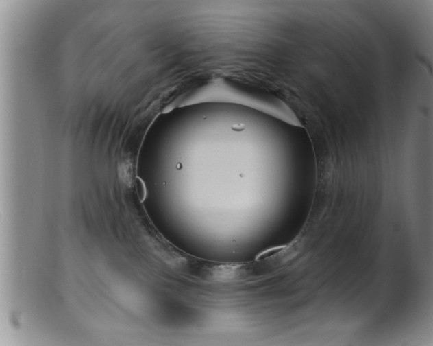 X0000099450090200805161033