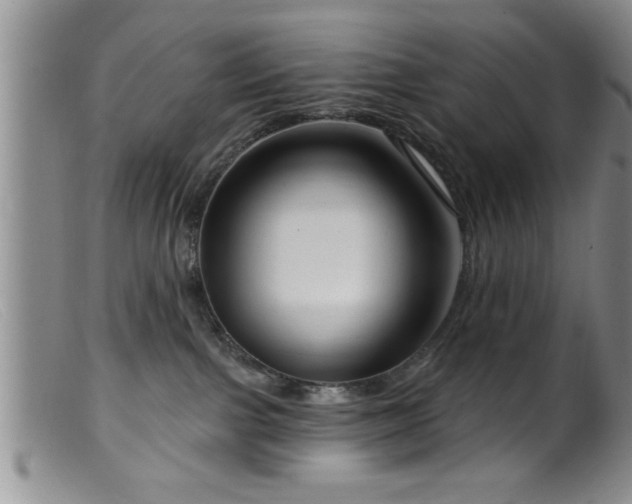 X0000099450091200805161033