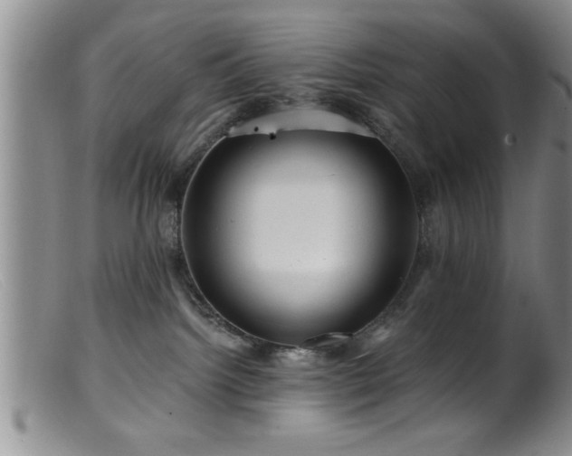 X0000099450092200805161033