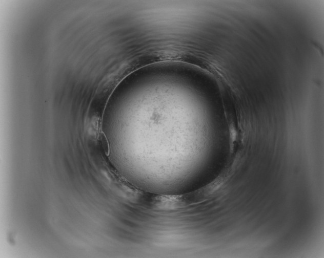 X0000099450093200805161033