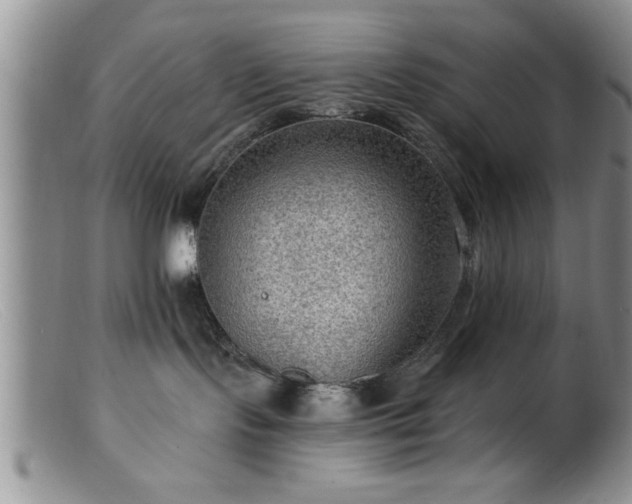 X0000099450095200805161033