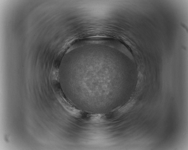 X0000099450096200805161033