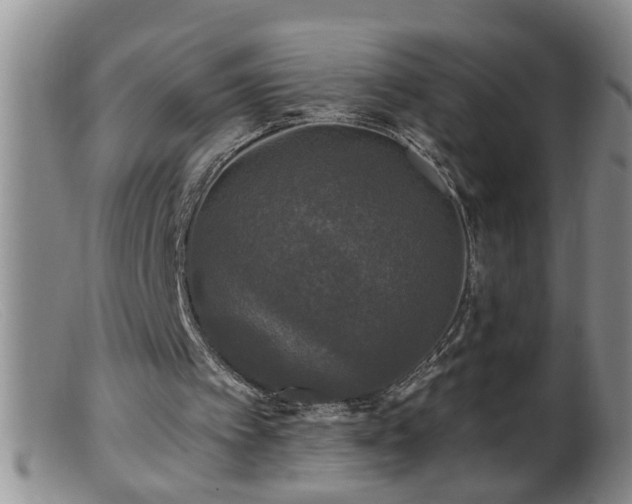 X0000099450097200805161032