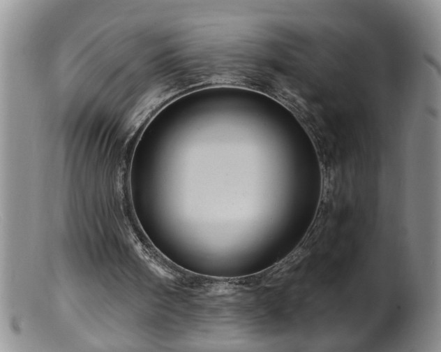 X0000099450098200805161032