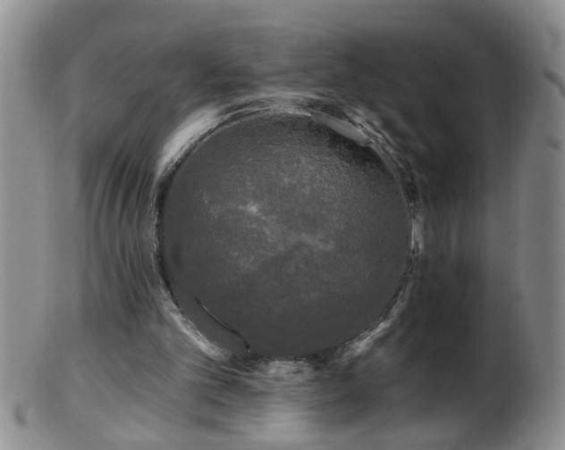 X0000099450101200805161032