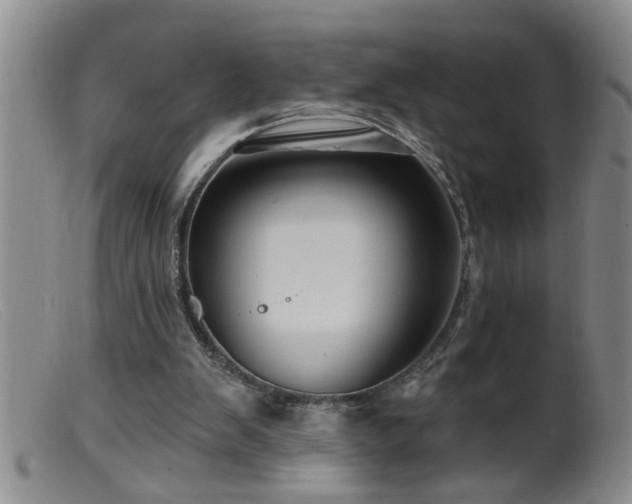 X0000099450103200805161032