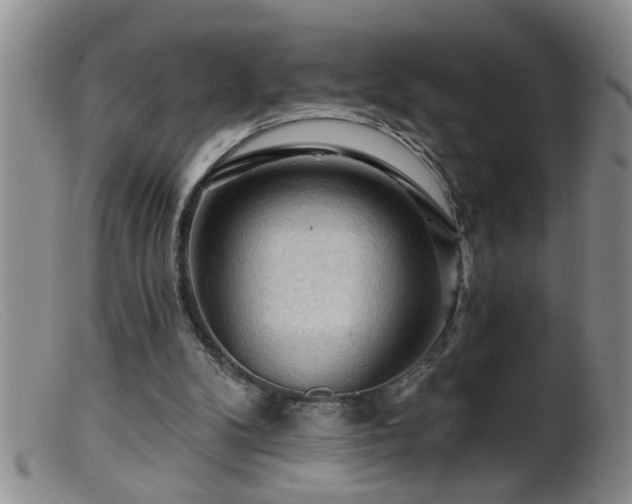 X0000099450104200805161032