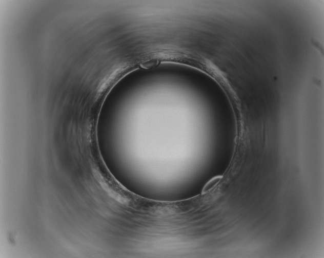 X0000099450106200805161032