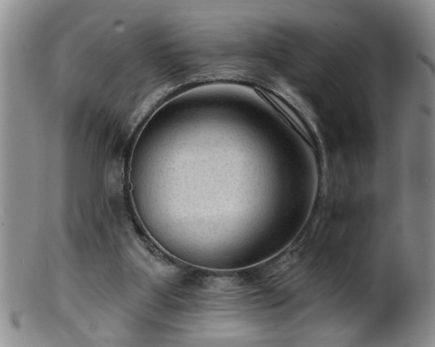 X0000099450107200805161032