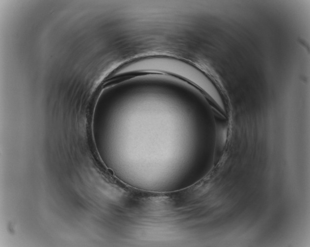 X0000099450108200805161032